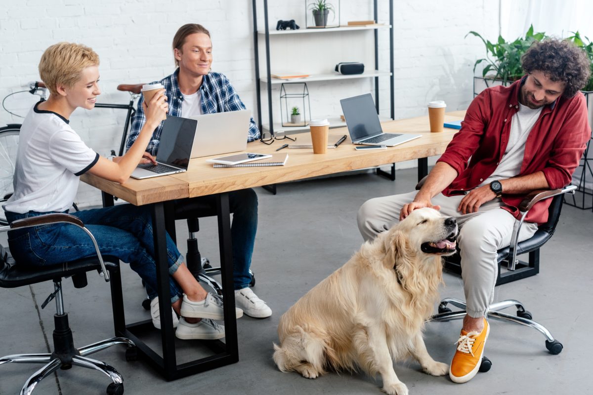 How to Create a Better Workplace Culture in 2019